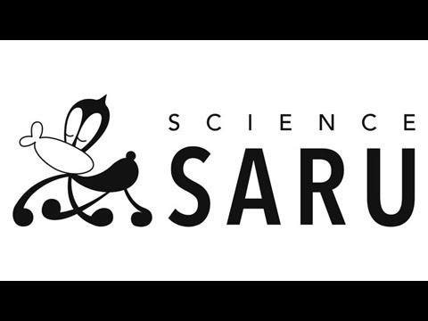 サイエンスSARU　湯浅政明が設立したアニメ工房　FLASHを武器に新たなアニメの潮流を創り出す